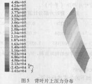 圖5背葉片上壓力分布.jpg
